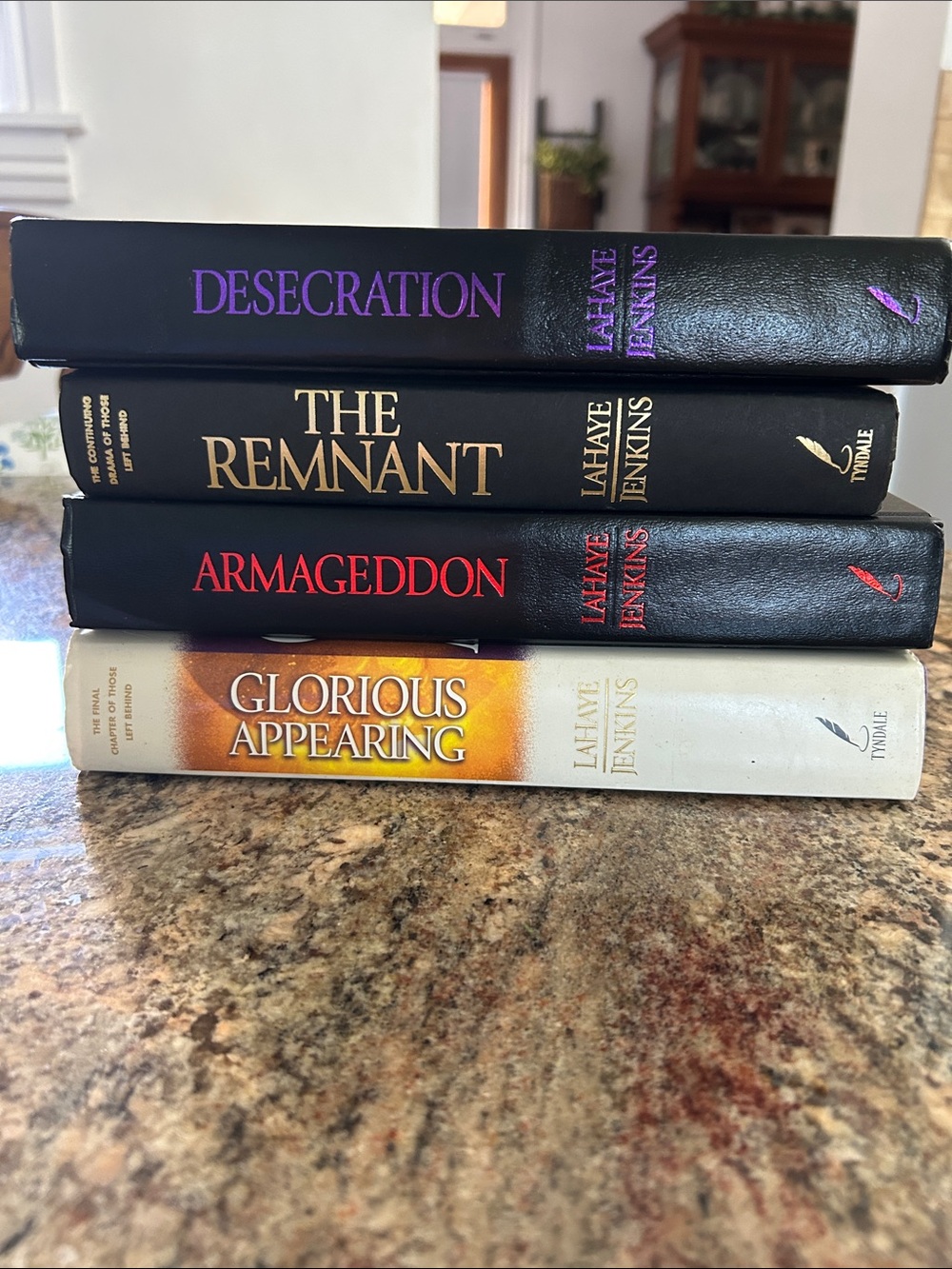 Left Behind Series: 4 Volumes:Decorative Book Stack